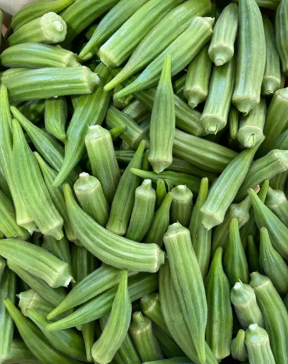 67631f2d93eec_Okra-1 (1) Fresh green okra pile, ready to cook.